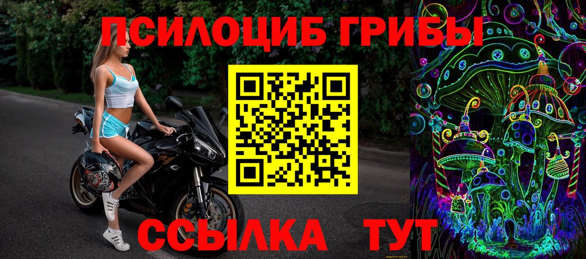 Галлюциногенные грибы прущие грибы Сунжа