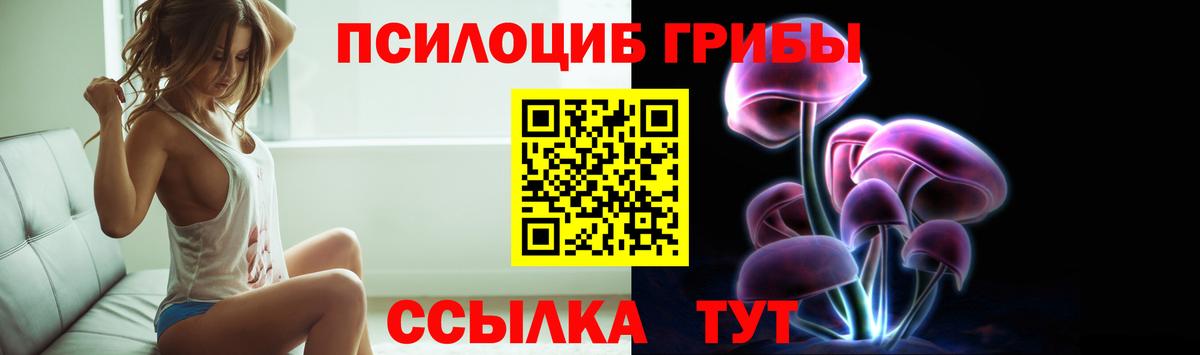 Псилоцибиновые грибы MAGIC MUSHROOMS  Вход с VPN  Галлюциногенные грибы GOLDEN TEACHER  Сунжа 